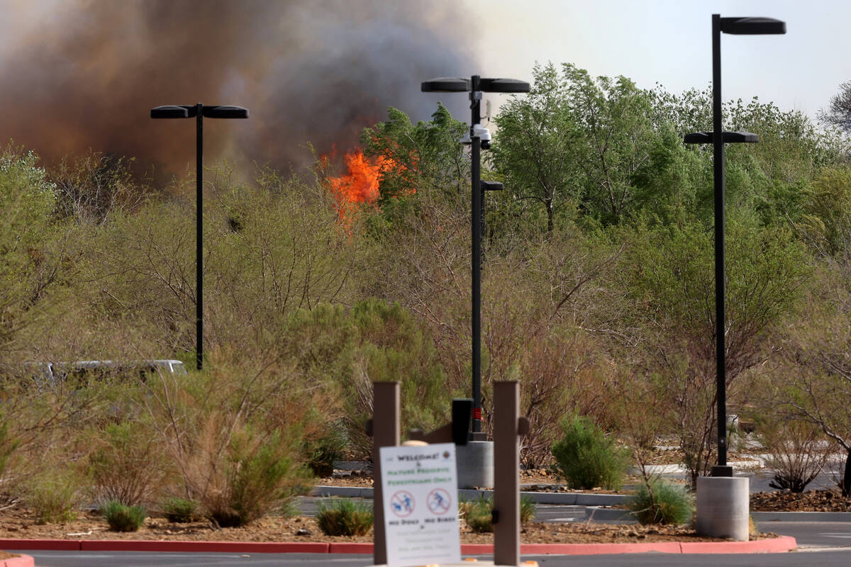Flames shoot up from a fire near the entrance to Clark County Wetlands Park in the southeast La ...