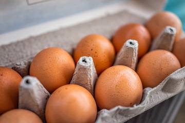 The August Egg Company recalled about 1.7 million brown organic and brown cage-free egg varieti ...